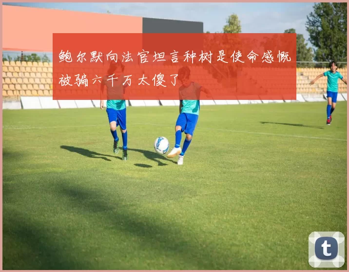 鲍尔默向法官坦言种树是使命感慨被骗六千万太傻了