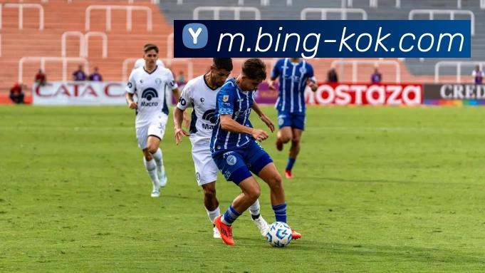 KOK体育服务体系